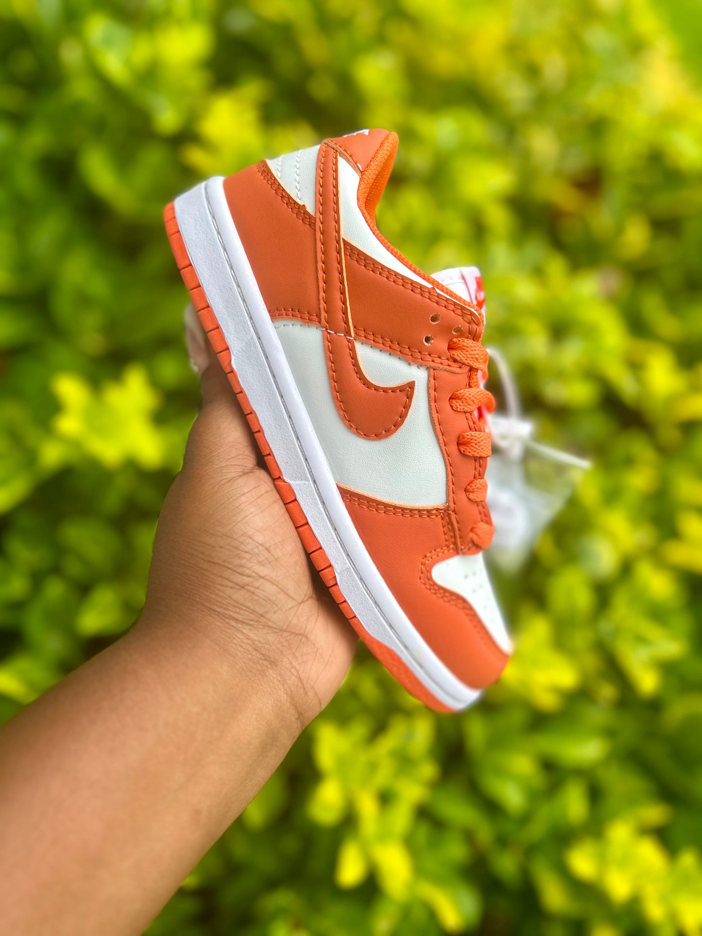 Dunk Lows “Orange”
